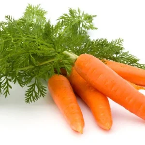 Carrot