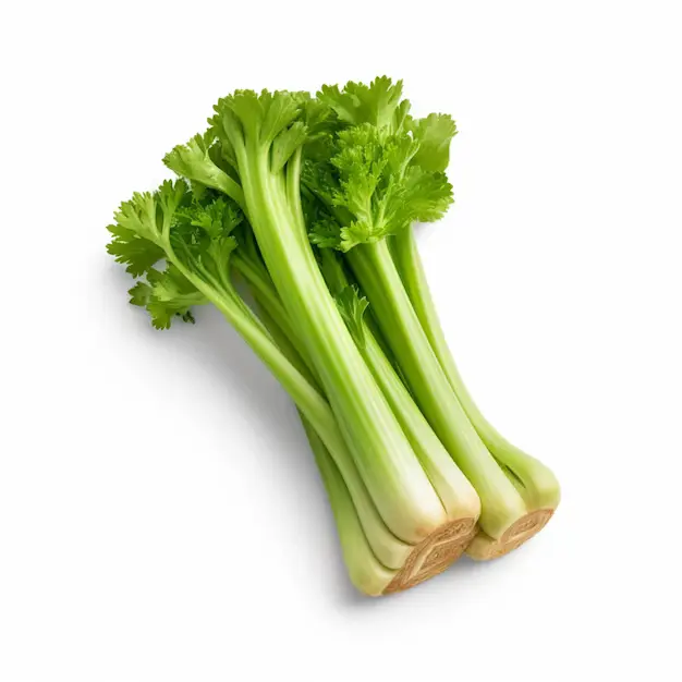 Celery