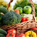 Aliquam congue mollis sapien ac consectetur. Suspendisse id convallis enim.